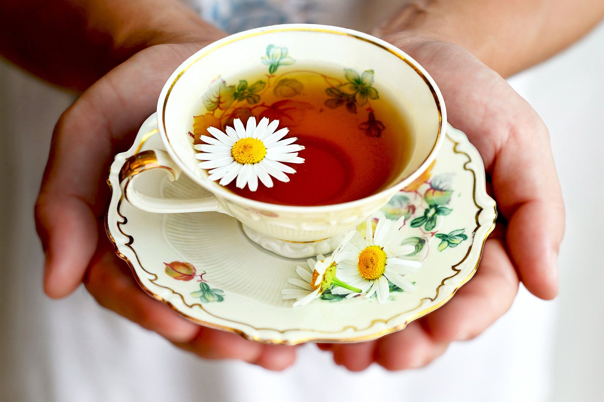 Delicate cup of tea with French chamomile tea flowers held in hands on a floral saucer
