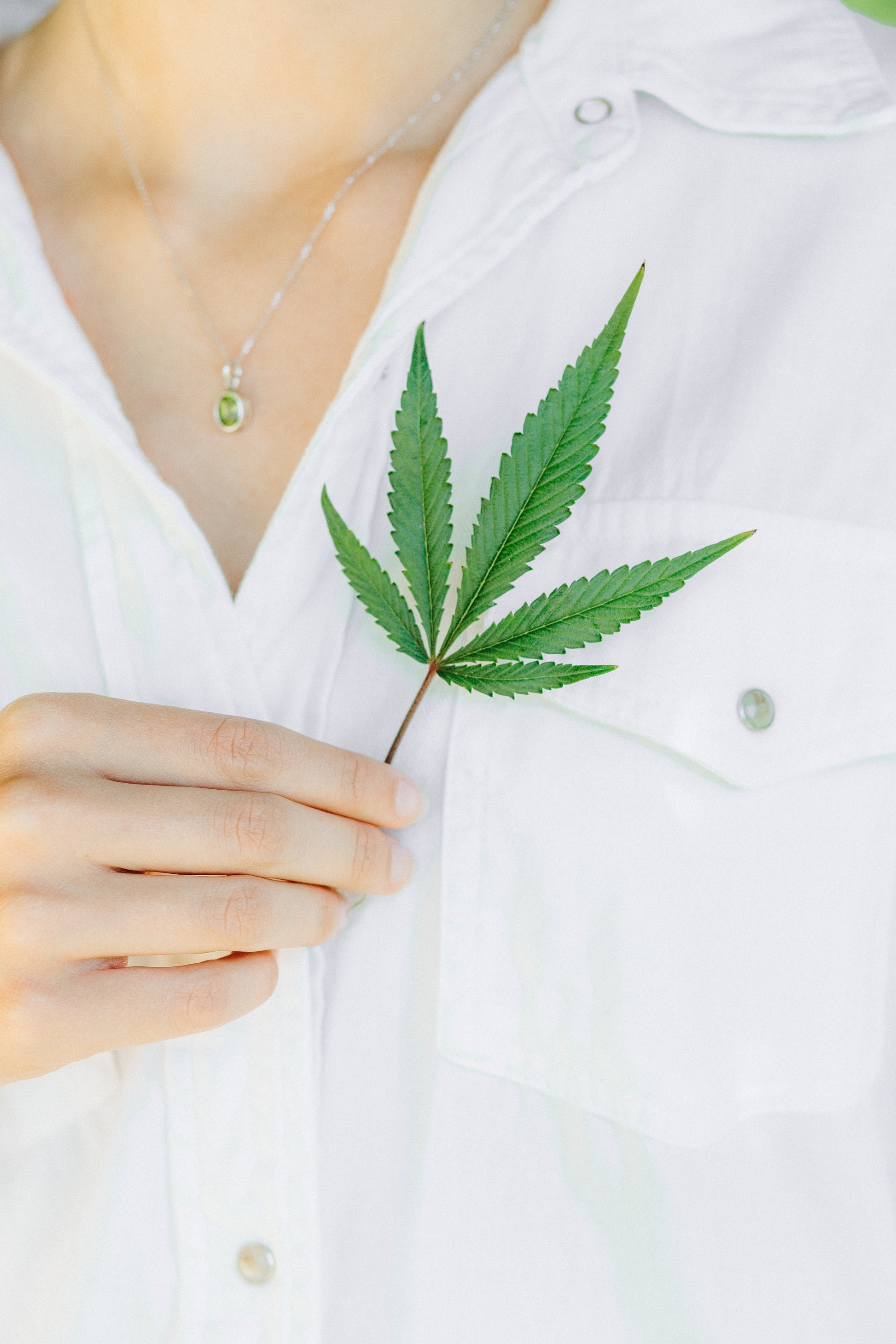 A person in white shirt holding a green leaf representing Agnès' Petit Paris Skincare French natural skincare elixir
